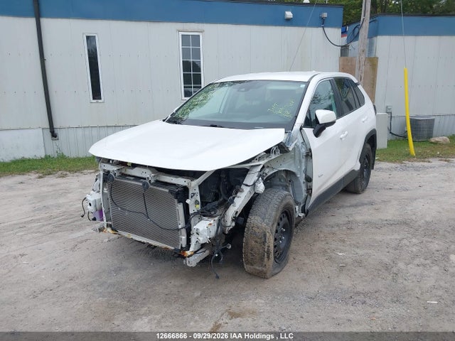 Продаж на аукціоні авто 2023 Toyota Rav4 Le, vin: 2T3B1RFV3PC341607, номер лоту: 12666866