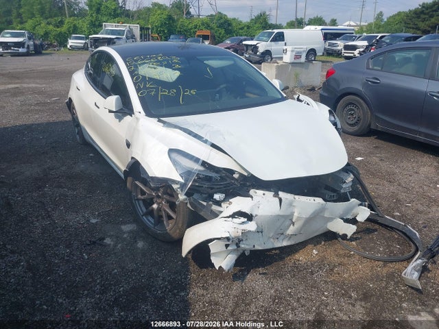 Auction sale of the 2021 Tesla Model 3, vin: 5YJ3E1EA9MF017117, lot number: 12666893
