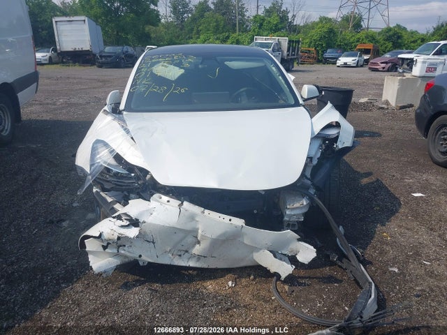 Tesla MODEL 3 2021 5YJ3E1EA9MF017117 Image 12