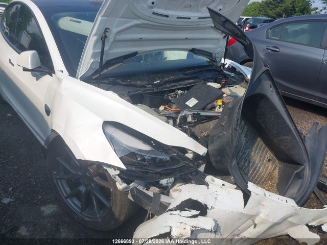 Tesla MODEL 3 2021 5YJ3E1EA9MF017117 Image 17