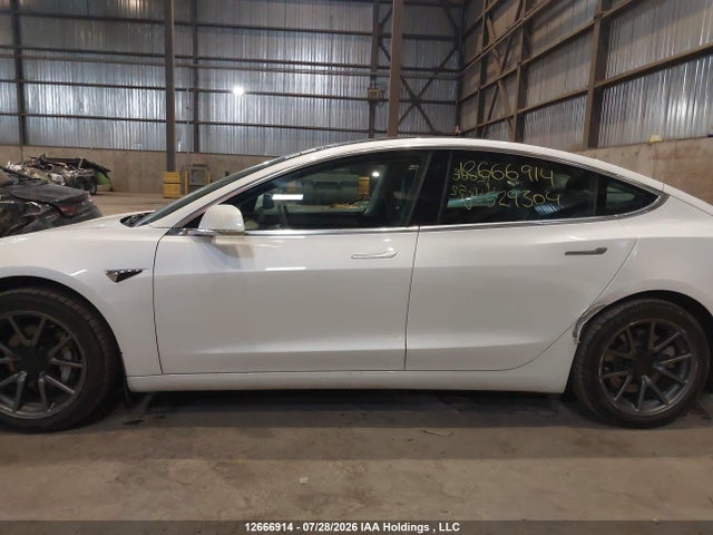 Tesla MODEL 3 2020 5YJ3E1EA6LF529304 Image 15