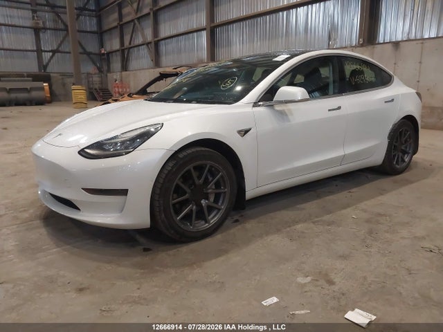Tesla MODEL 3 2020 5YJ3E1EA6LF529304 Image 2