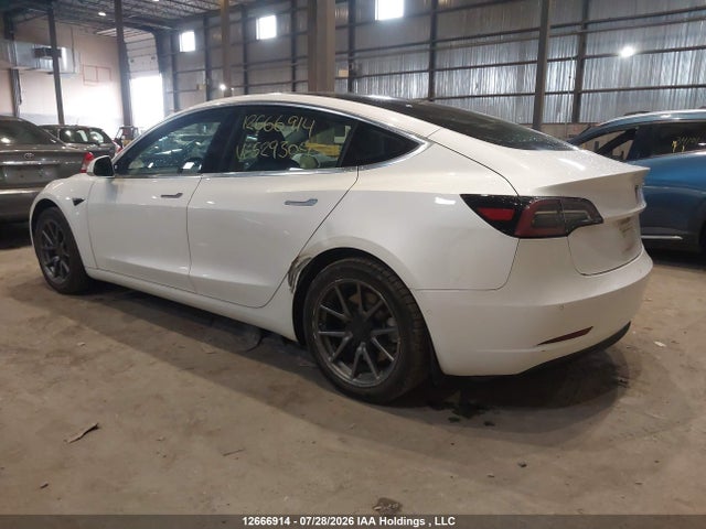 Tesla MODEL 3 2020 5YJ3E1EA6LF529304 Image 3