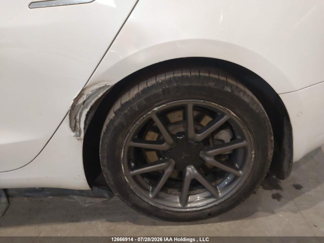 Tesla MODEL 3 2020 5YJ3E1EA6LF529304 Image 6