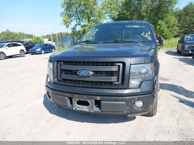12667045 :رقم المزاد ، 1FTFX1CF9EKF57156 vin ، 2014 Ford F150 Super Cab مزاد بيع