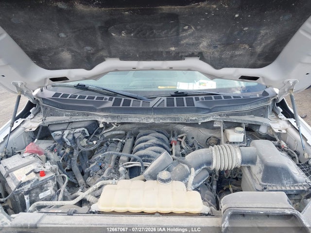Ford F150 Supercrew 2022 1FTFW1E55NFA35219 Image 10