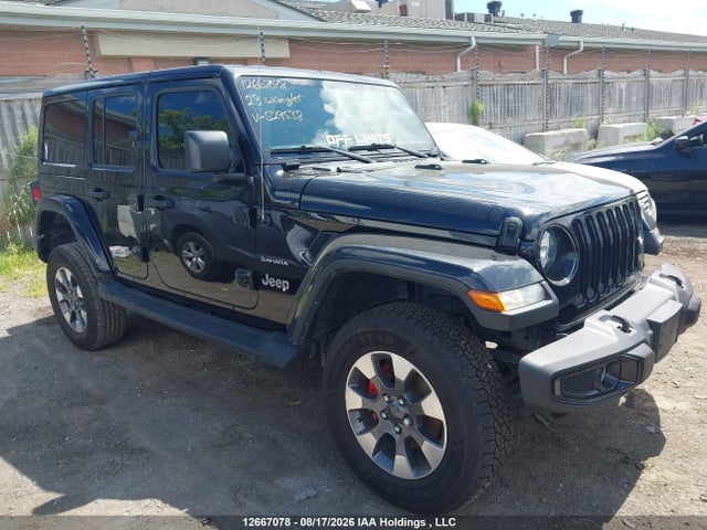 Продаж на аукціоні авто 2023 Jeep Wrangler 4-door Sahara, vin: 1C4HJXEN8PW529538, номер лоту: 12667078