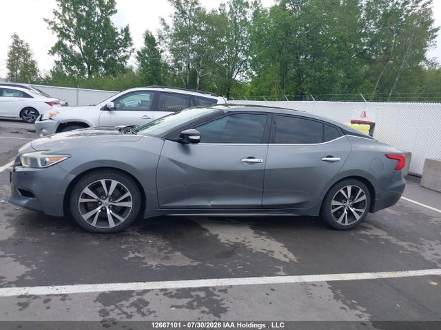 1N4AA6AP3GC378778 Nissan Maxima Platinum/sl/sr/sv
