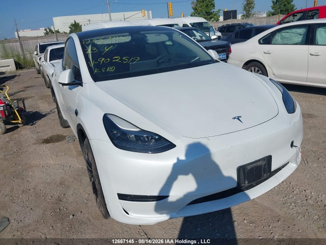 Tesla Model Y Rwd 2023 LRWYGDFD5PC902519 main image