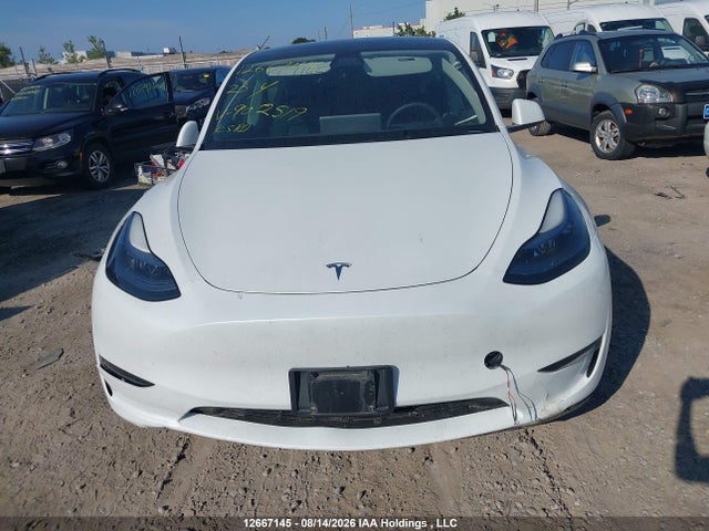 Tesla Model Y Rwd 2023 LRWYGDFD5PC902519 Image 12