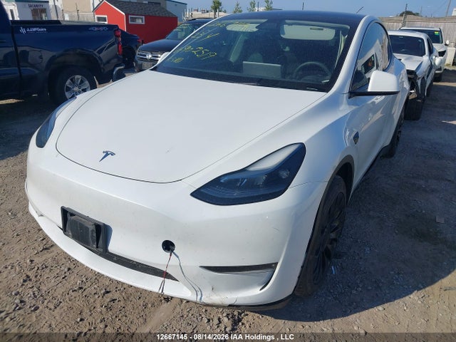 Tesla Model Y Rwd 2023 LRWYGDFD5PC902519 Image 2
