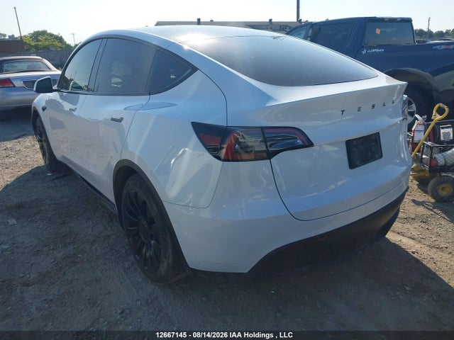 Tesla Model Y Rwd 2023 LRWYGDFD5PC902519 Image 3