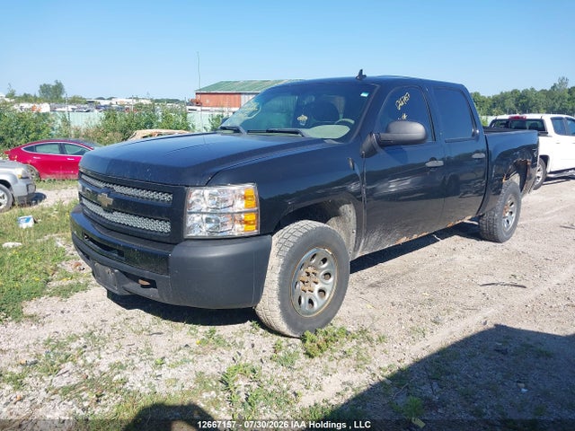 Продаж на аукціоні авто 2011 Chevrolet Silverado 1500, vin: 3GCPKREA8BG163427, номер лоту: 12667157