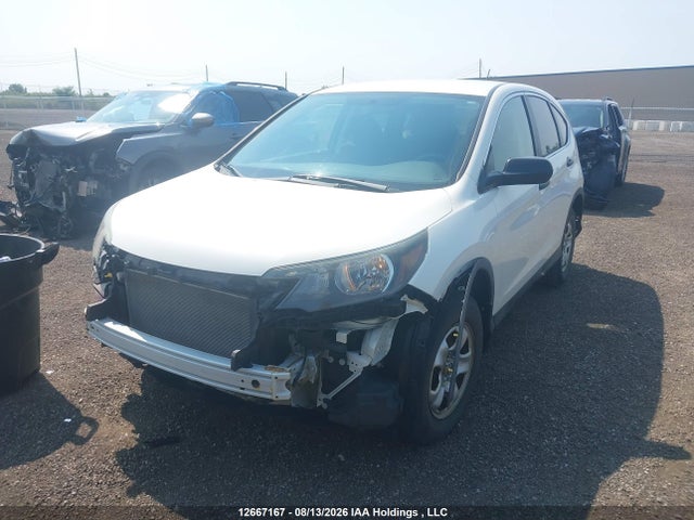 Aukcja sprzedaży 2013 Honda Cr-v Lx, vin: 2HKRM3H36DH001674, numer aukcji: 12667167