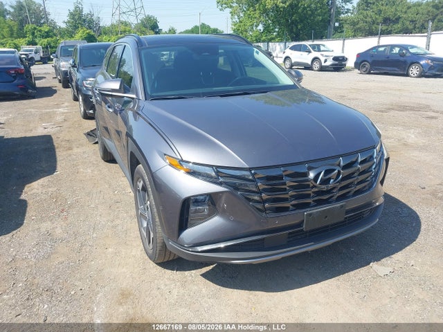 Продаж на аукціоні авто 2024 Hyundai Tucson Ultimate Awd, vin: KM8JCCD1XRU154880, номер лоту: 12667169