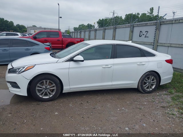 Продажа на аукционе авто 2017 Hyundai Sonata Gl, vin: 5NPE24AF0HH501107, номер лота: 12667171