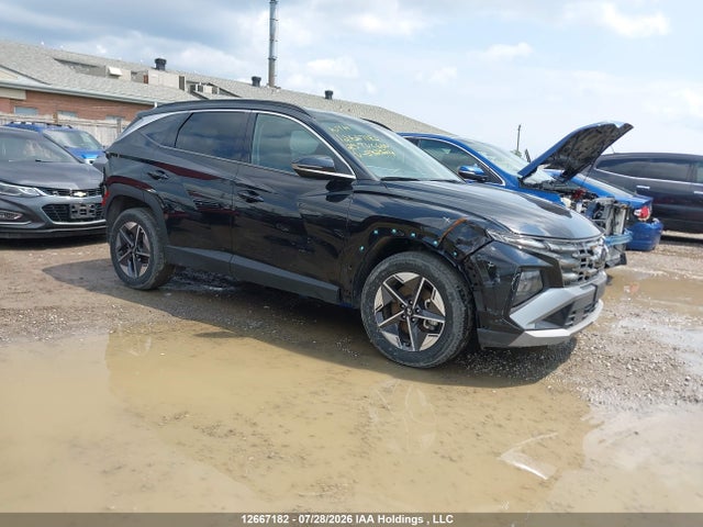Auction sale of the 2025 Hyundai Tucson Sel, vin: 5NMJCCDE2SH532324, lot number: 12667182