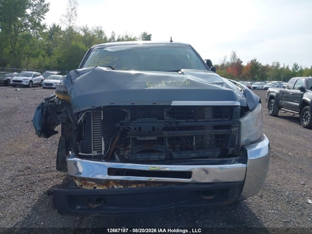 12667187 :رقم المزاد ، 1GC4KXB69AF118262 vin ، 2010 Chevrolet Silverado 2500hd Lt مزاد بيع