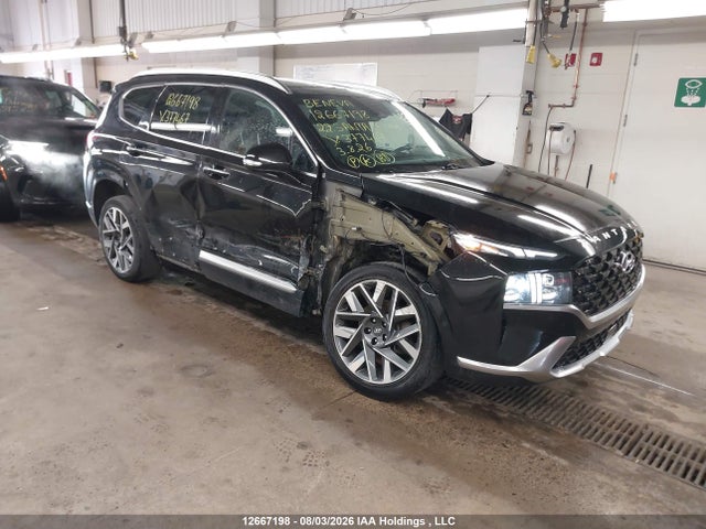 Hyundai Santa Fe Ultimate Calligraphy 2022 5NMS5DALXNH377467 zdjęcie główne