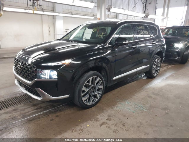Продажа на аукционе авто 2022 Hyundai Santa Fe Ultimate Calligraphy, vin: 5NMS5DALXNH377467, номер лота: 12667198