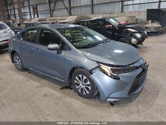 Auction sale of the 2025 Toyota Corolla Le/se/xle, vin: JTDBCMFEXS3098451, lot number: 12667238