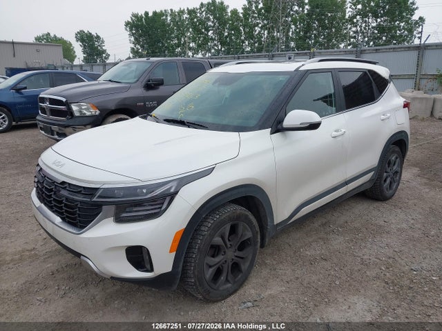 Продажа на аукционе авто 2024 Kia Seltos S, vin: KNDEUCAA6R7602263, номер лота: 12667251