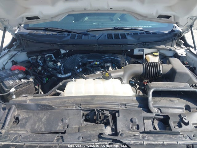 Продаж на аукціоні авто 2024 Ford F150 Stx, vin: 1FTEW2LP6RKE86551, номер лоту: 12667262