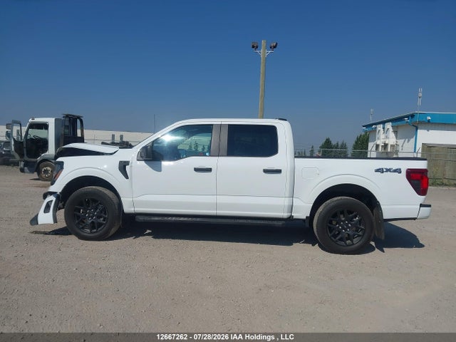 Продаж на аукціоні авто 2024 Ford F150 Stx, vin: 1FTEW2LP6RKE86551, номер лоту: 12667262