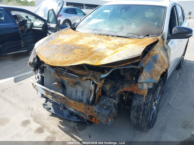Toyota RAV4 SE 2017 2T3JFREV2HW636115 Image 6