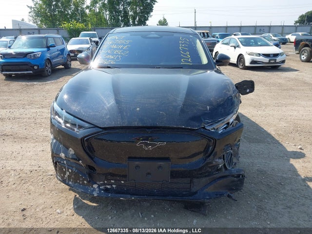 Ford Mustang Mach-E 2024 3FMTK3SU1RMA29862 Image 13