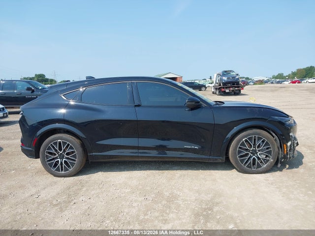 Ford Mustang Mach-E 2024 3FMTK3SU1RMA29862 Image 14