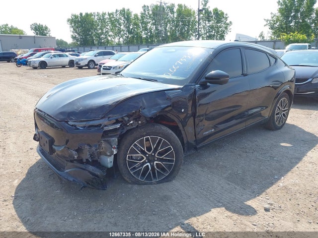 Ford Mustang Mach-E 2024 3FMTK3SU1RMA29862 Image 2