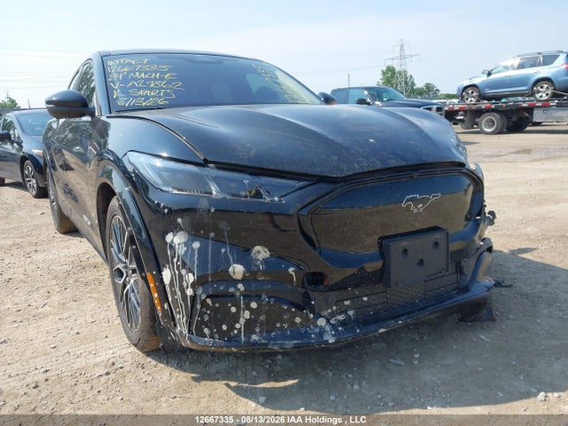 Ford Mustang Mach-E 2024 3FMTK3SU1RMA29862 Image 20