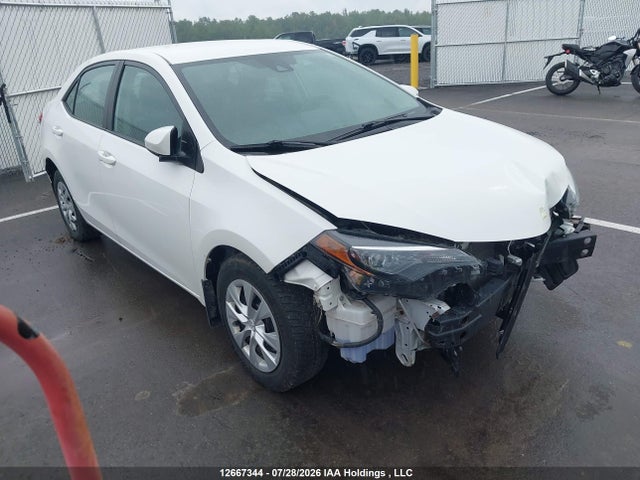 2019 2T1BURHE4KC232451 головне зображення