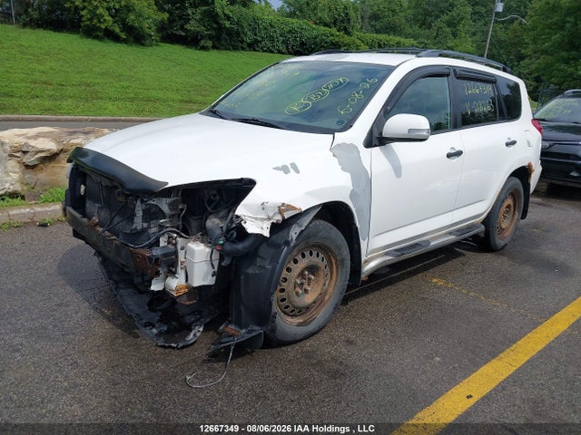 12667349 :رقم المزاد ، 2T3BF33V99W018263 vin ، 2009 Toyota Rav4 مزاد بيع