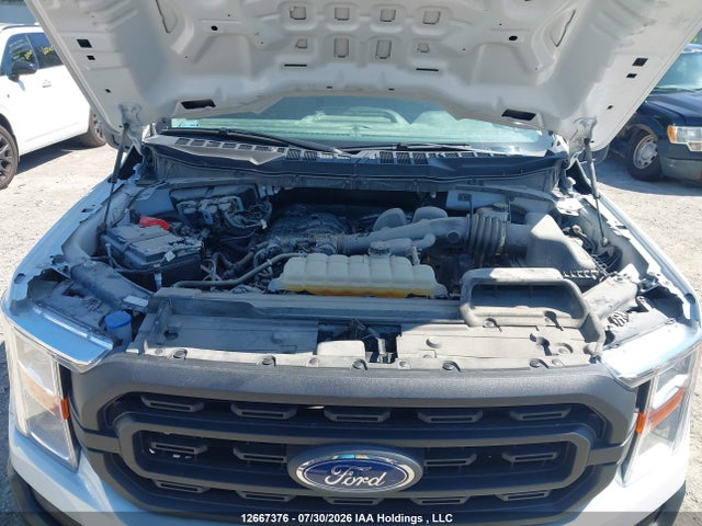 Продаж на аукціоні авто 2021 Ford F150, vin: 1FTMF1CB6MKE59790, номер лоту: 12667376