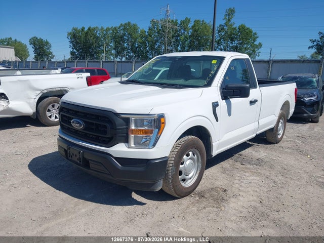 Продаж на аукціоні авто 2021 Ford F150, vin: 1FTMF1CB6MKE59790, номер лоту: 12667376