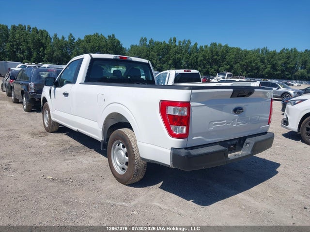 Продаж на аукціоні авто 2021 Ford F150, vin: 1FTMF1CB6MKE59790, номер лоту: 12667376