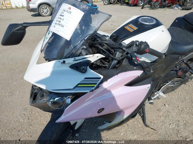Yamaha Yzfr3 A 2017 MH3RH15N5HK001088 Image 17