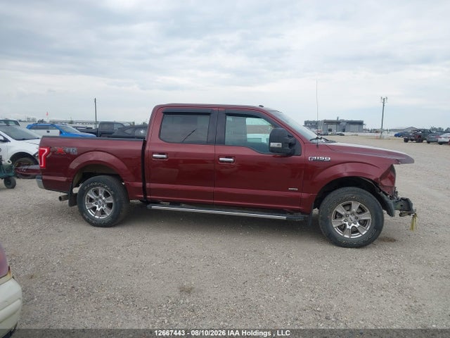 Ford F150 Supercrew 2016 1FTEW1EG5GKE80177 Image 14