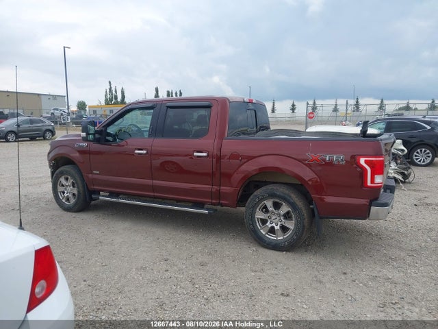 Ford F150 Supercrew 2016 1FTEW1EG5GKE80177 Image 15