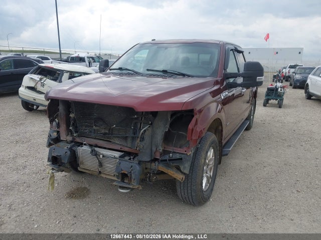 Ford F150 Supercrew 2016 1FTEW1EG5GKE80177 Image 6