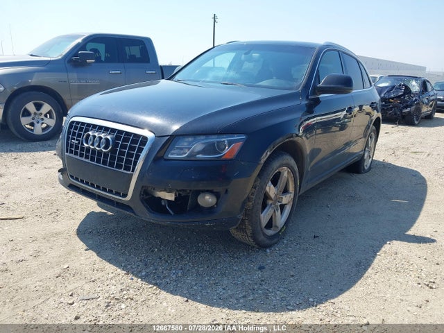 Продаж на аукціоні авто 2010 Audi Q5 3.2 Premium, vin: WA1LKCFP6AA036374, номер лоту: 12667580