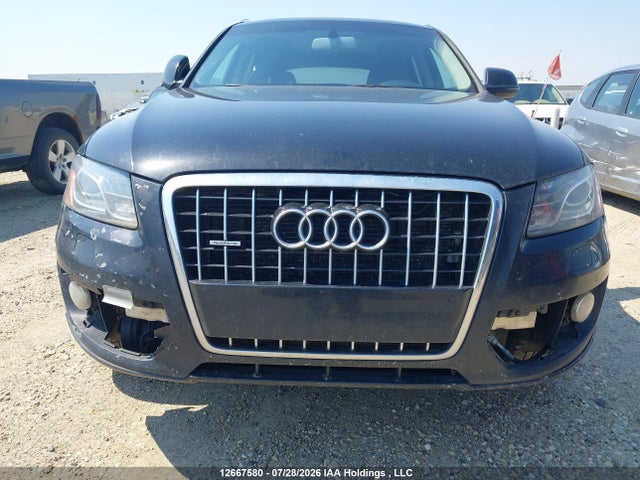 Продаж на аукціоні авто 2010 Audi Q5 3.2 Premium, vin: WA1LKCFP6AA036374, номер лоту: 12667580