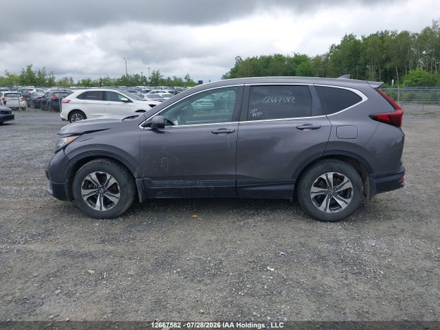 12667582 :رقم المزاد ، 2HKRW1H28LH000109 vin ، 2020 Honda Cr-v Lx مزاد بيع