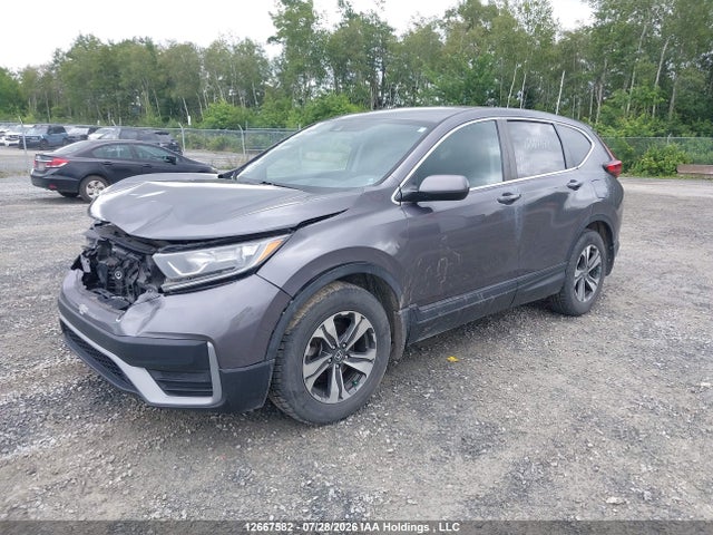 12667582 :رقم المزاد ، 2HKRW1H28LH000109 vin ، 2020 Honda Cr-v Lx مزاد بيع