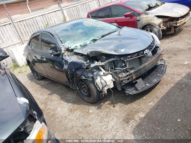 Toyota Corolla L/le/le Pls/prm/s/s Pls 2014 2T1BURHEXEC094791 главное изображение