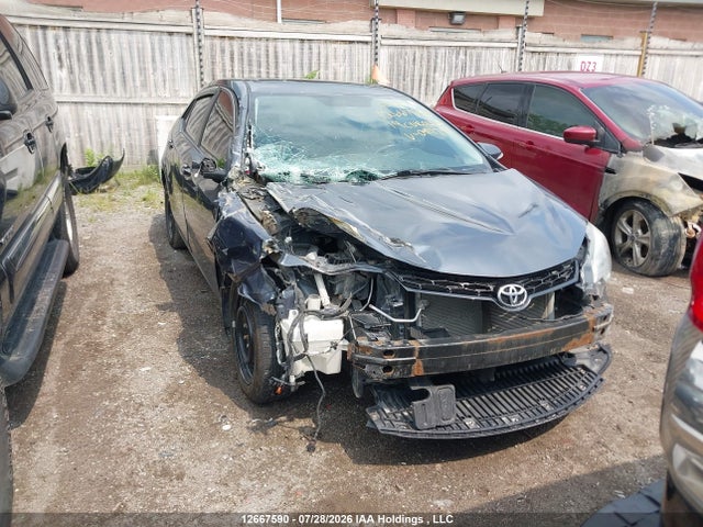 Продаж на аукціоні авто 2014 Toyota Corolla L/le/le Pls/prm/s/s Pls, vin: 2T1BURHEXEC094791, номер лоту: 12667590