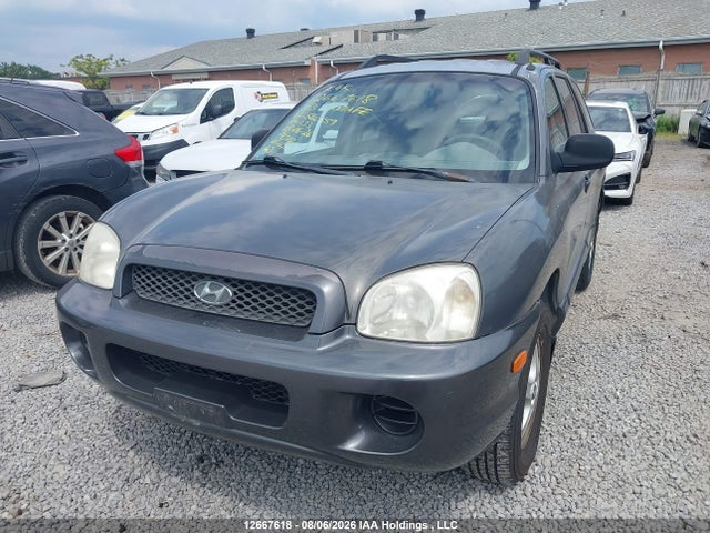 Aukcja sprzedaży 2003 Hyundai Santa Fe Gls, vin: KM8SB13D93U566559, numer aukcji: 12667618