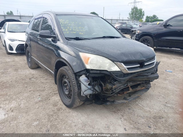 2011 Honda Cr-v Lx მანქანა იყიდება აუქციონზე, vin: 5J6RE4H34BL817465, აუქციონის ნომერი: 12667677